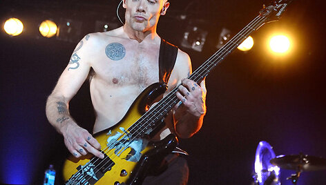 Michaelas &bdquo;Flea&ldquo; Balzary