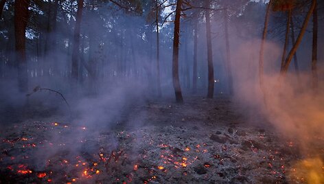 Mi&scaron;kų gaisras Ispanijoje