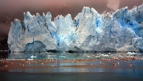 Žongliruoja skaičiais: atrinko „patogius“ ir nustatė, kad ledo Arktyje daugėja
