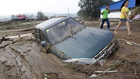 Purve įstrigęs automobilis