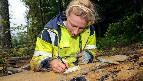 Archeologai dirba prie Pirmojo pasaulinio karo laikų požeminio tunelio. 