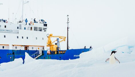 Antarktidoje įstrigęs laivas &bdquo;Akademik &Scaron;okalskij&ldquo;