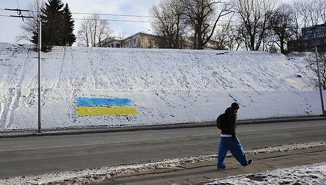 Ant sniego nupiešta Ukrainos vėliava