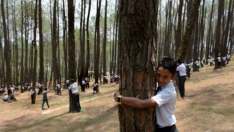 Nepalo moksleiviai apkabindami medžius paminėjo Pasaulinę aplinkos apsaugos dieną.