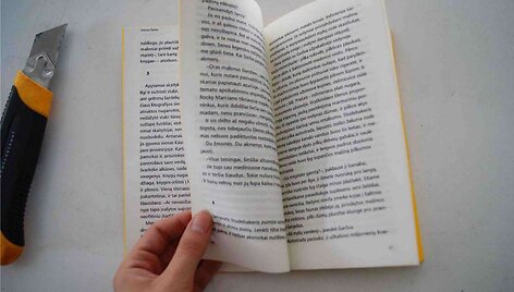 Sabinos Korzunovos darbas &ndash; Vizualinė sistema &scaron;viečiamajai literatūrai