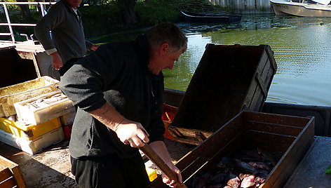 Iš Kuršių marių vyrai grįžo su puikiu laimikiu