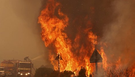 Krūmynų gaisras Pietų Afrikos Respublikoje