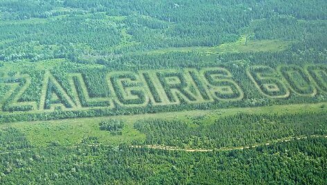 Nemenčinės mi&scaron;kas