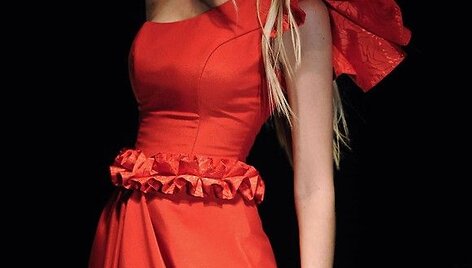 Modelis