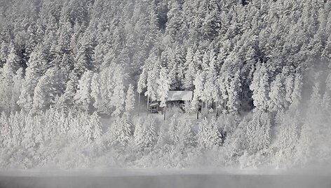 Mi&scaron;kas žiemą