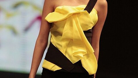 Modelis
