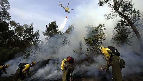 Gaisrininkai 