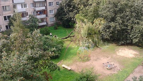 Stipraus lietaus ir vėjo i&scaron;verstas medis Karolini&scaron;kių rajone