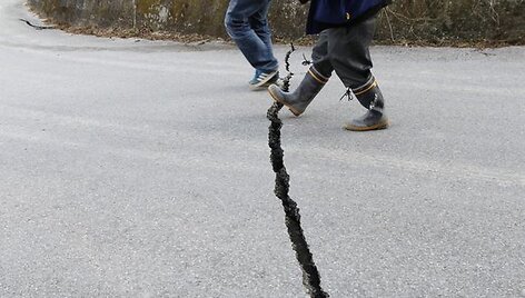 Žemės drebėjimų ir cunamio padariniai