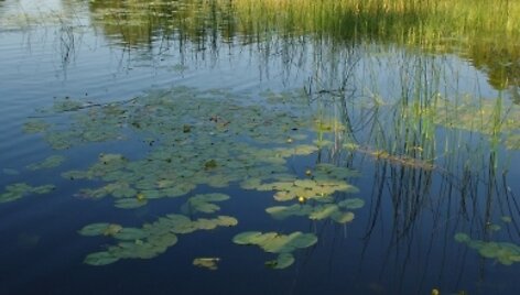 &bdquo;U pajėgos&ldquo; vežasi ne tik gerą nuotaiką, bet ir pramogas.