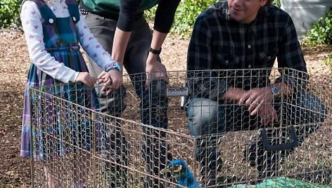 Filmas „Mes nusipirkome zoologijos sodą“