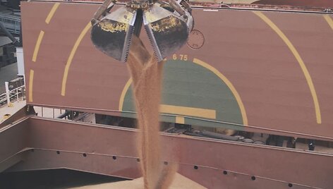 Grūdai