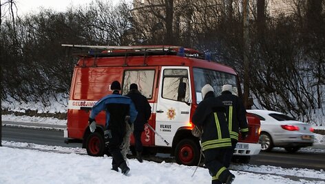 Ant ledo gulėjo leisgyvis gyvūnėlis.
