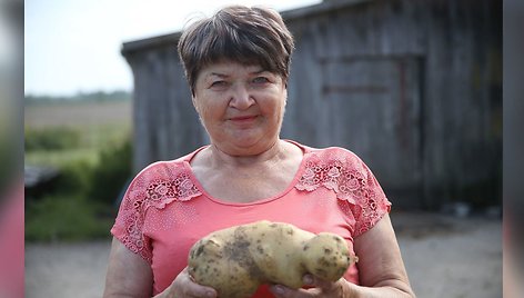 Ąžuolaičių kaime gyvenanti Janina savo darže užaugino 1,450 kg sveriančią bulvę.