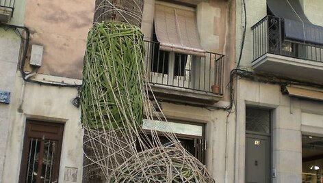 Meno festivalyje &bdquo;Land Art&ldquo; sukurta instaliacija.