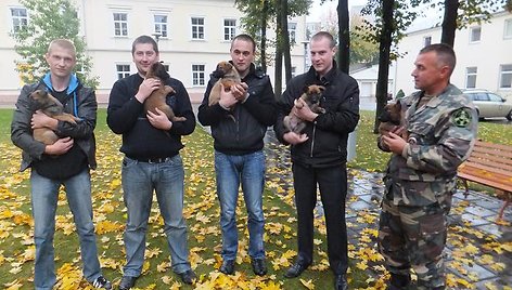 Belgų aviganių jaunikliai papildė VSAT tarnybinių šunų gretas.