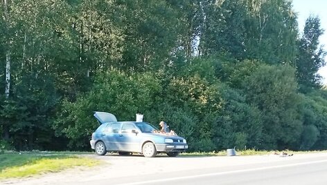 Grybų pardavėjas