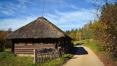 Vai&scaron;nori&scaron;kės