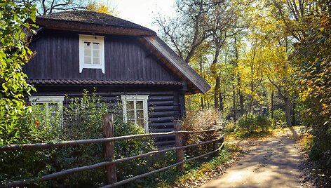 Vai&scaron;nori&scaron;kės