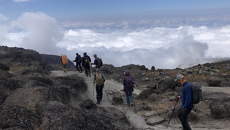 Kopimas į Kilimandžarą