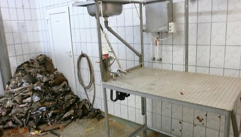Nuo spalio 31 d. įmonei UAB &bdquo;Viltlit&ldquo; nurodyta sustabdyti savo veikląjpg