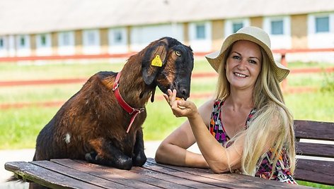 Gražiausios ožkos Panevėžio rajone šeimininkė Lina savo tituluotąją gražuolę vadina „Karaliene“, „Mieląja“, „Brangiąja“, nors tamsi spalva padiktavo kitokį vardą – Kola 