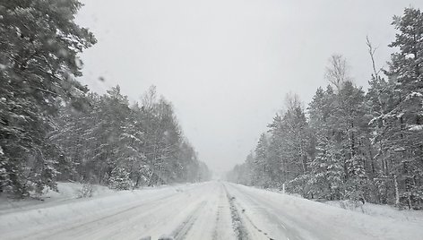 Kelias Druskininkai-Vilnius prie Valkininkų