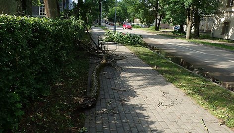 Durskininkus nuniokojo škvalas