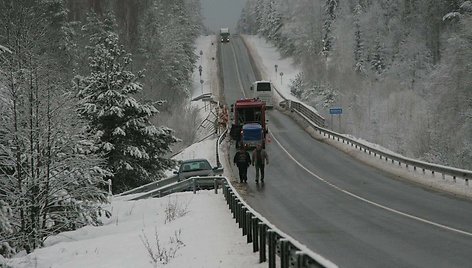 Vilkikas tragiškai nulėkė nuo skardžio