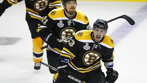 Bostono ledo ritulininkai