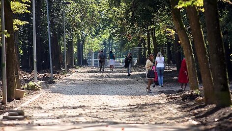  Iki Stumbro skulptūros jau galima prieiti , toliau kelią pastoja tran&scaron;ėjos.