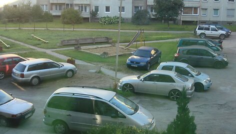 &bdquo;Volkswagen Passat&ldquo; ant žolės