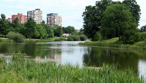 Baltupių tvenkinys