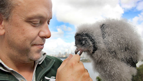 Mieliausi zoologijos sodų mažyliai