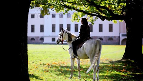 Pakruojo dvare atgimė naktogonė