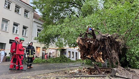 Vilniuje, Rūdninkų g., žaibas trenkė į medį