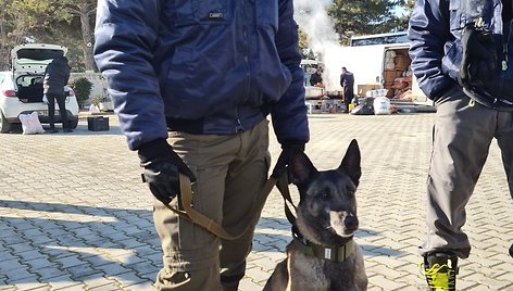 Lietuvos tarptautinės pagalbos teikimo komanda su kitų šalių gelbėtojais atlieka paieškos ir gelbėjimo darbus Adijamano mieste Turkijoje