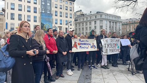 Mokytojų mitingas V.Kudirkos aik&scaron;tėje