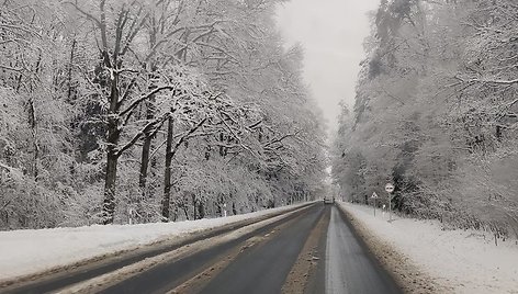 Apsnigti keliai Tauragės apskrityje