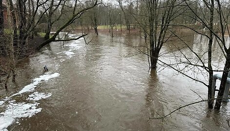 Audros padariniai Plungės rajone