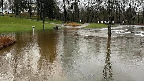 Audros padariniai Plungės rajone