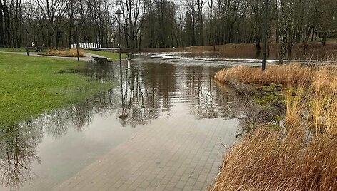 Audros padariniai Plungės rajone