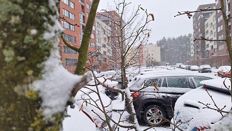 Vilniečiai turėjo darbo valydami nuo sniego automobilius