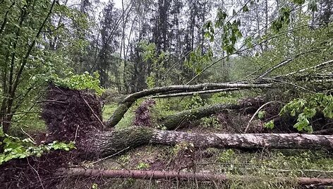 Audra Baltarusijoje: kru&scaron;a ir viesulas