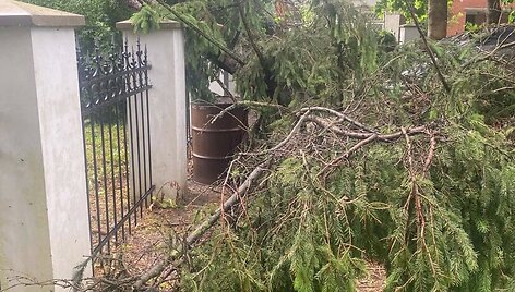 &Scaron;alčininkų seniūnijoje audra i&scaron;vartė ir i&scaron;laužė daug medžių
